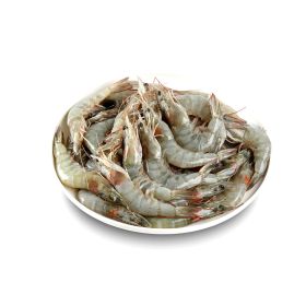 Fresh Shrimps 30/40 Small