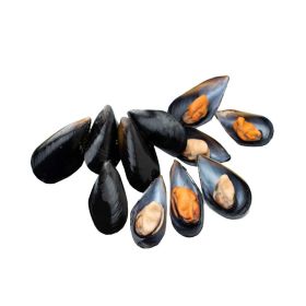 Mussels Blue Australia