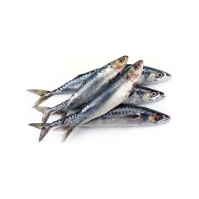 Small Sardines