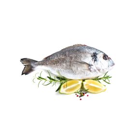 Organic Seabream Local