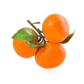 Clementine Nova With Leaves Morocco