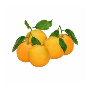 Orange Navel With Leaves Morocco