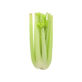 Celery Sticks┬áSpain