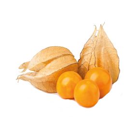 Physalis Colombia