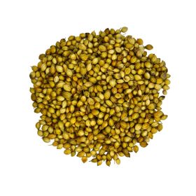 Whole Coriander India