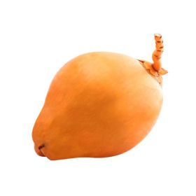 King Coconut Sri Lanka