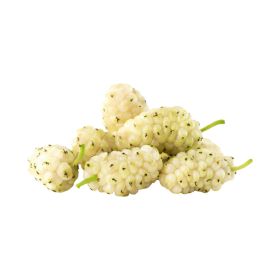 Whiteberry Syria