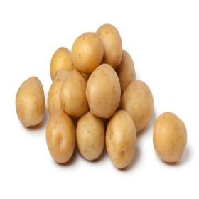 Baby Potato India