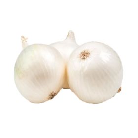 Onion White Italy