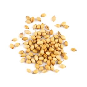 Coriander Seed Syria