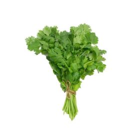 Coriander Bunch