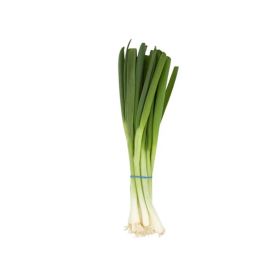 Spring Onion Bunch