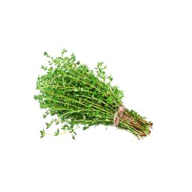Green Thyme Bunch Lebanon