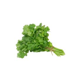 Parsley Bunch Lebanon