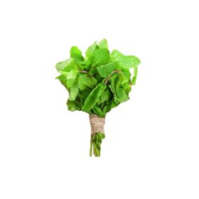 Mint Bunch Lebanon