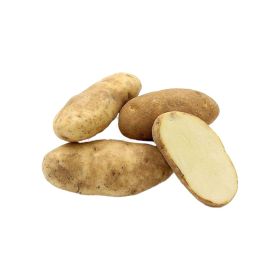 Potato Russet Idaho