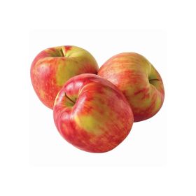 Apple Honey Crisp USA