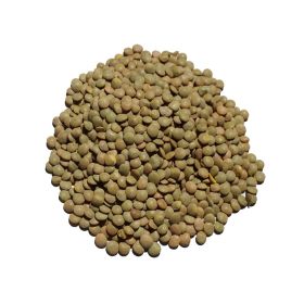Brown Konuklar Bakliyat Lentil 