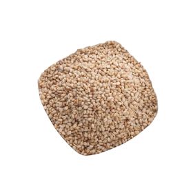 Roasted Salted Kosa Seeds