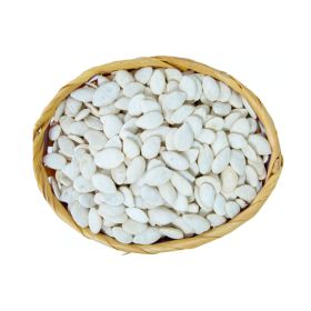 Roasted Unsalted White Seeds