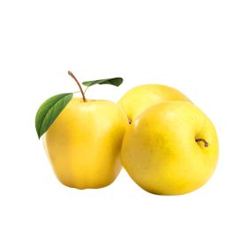 Apple Golden Russia