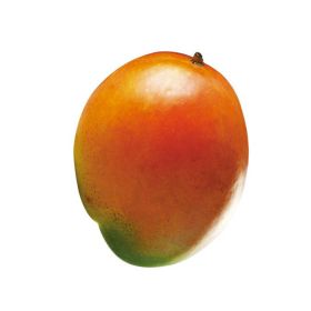 Mango Keitt Australia