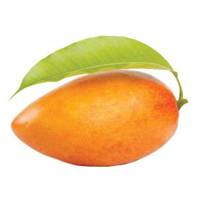 Mango Premium Vietnam
