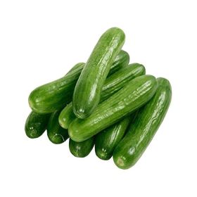 Cucumber