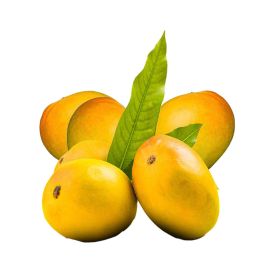 Mango Baby Fas Egypt