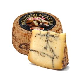 Moliterno Al Tartufo