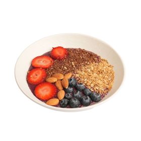 Blueberry Protein Power Bowl
