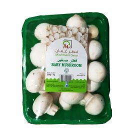 Baby Mushroom Oman