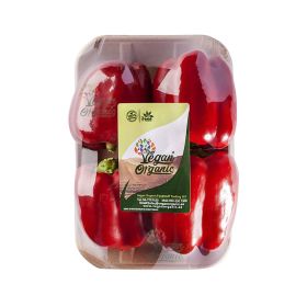 Vegan Organic Capsicum Red UAE