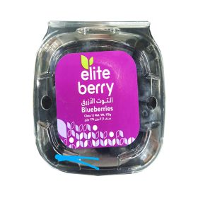 Elite Berry Blueberry