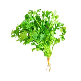 Fresh Coriander Leaves Local