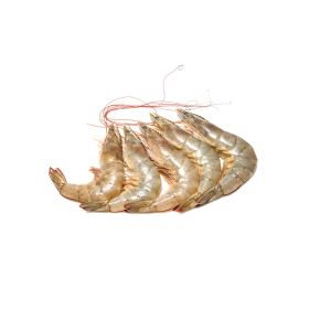 Shrimps 10/20 Large Oman