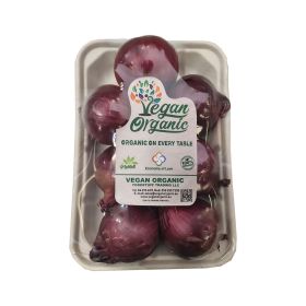 Organic Red Onion India