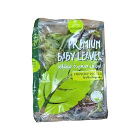 Leto Premium Mesclun Mix