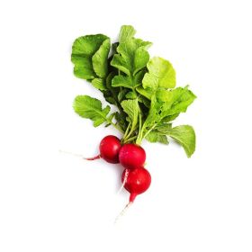 Fresh Red Radish Local