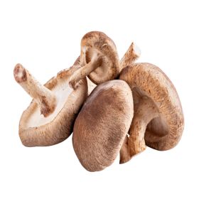 Mushroom Shitake UAE