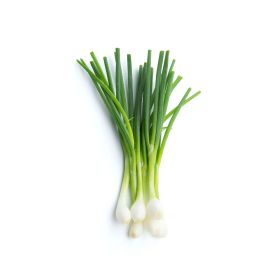 Leto Spring Onion