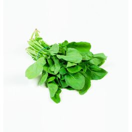 Organic Rocca Organic Rocca - Grandiose.ae