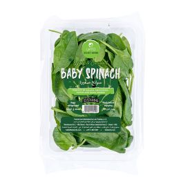 Leto Premium Baby Spinach - Grandiose.ae