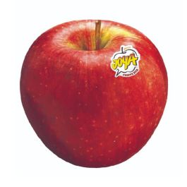 Apple - rakoji Kiju Organic 100% Pure Apple Juice 1 L - Voilà Online