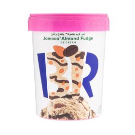 Baskin Robbins Jamoca Almond Fudge