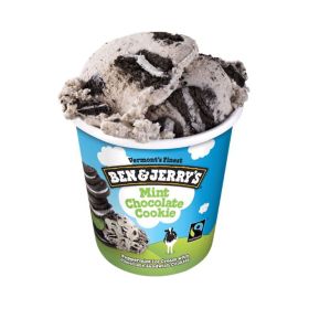 Ben & Jerrys Mint Chocolate Cookies