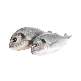 Sea Bream Local