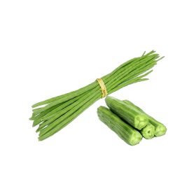 Drumstick India