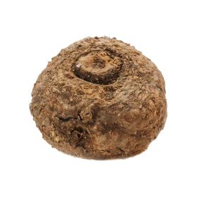 Yam India