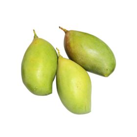 Mango Totapuri India